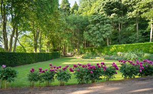 Photo 26- click for photo gallery